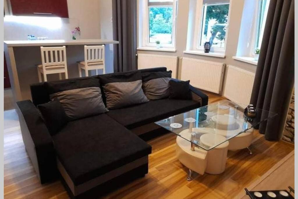Appartement Mieszkanie Z Widokiem Na Park -Cieplice Slaskie Zdroj à Jelenia Góra Extérieur photo
