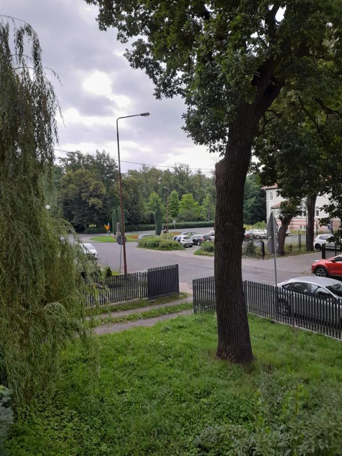 Appartement Mieszkanie Z Widokiem Na Park -Cieplice Slaskie Zdroj à Jelenia Góra Extérieur photo