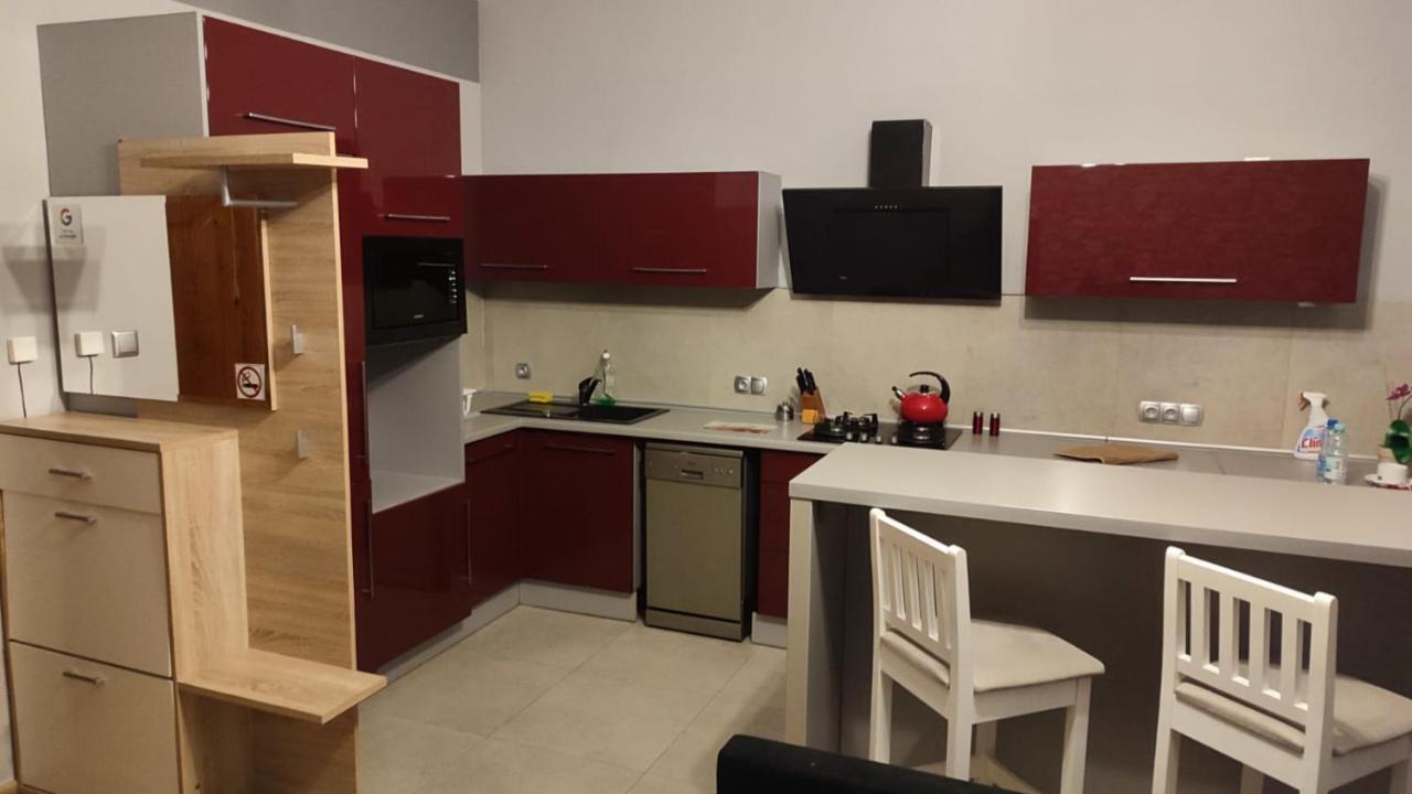 Appartement Mieszkanie Z Widokiem Na Park -Cieplice Slaskie Zdroj à Jelenia Góra Extérieur photo